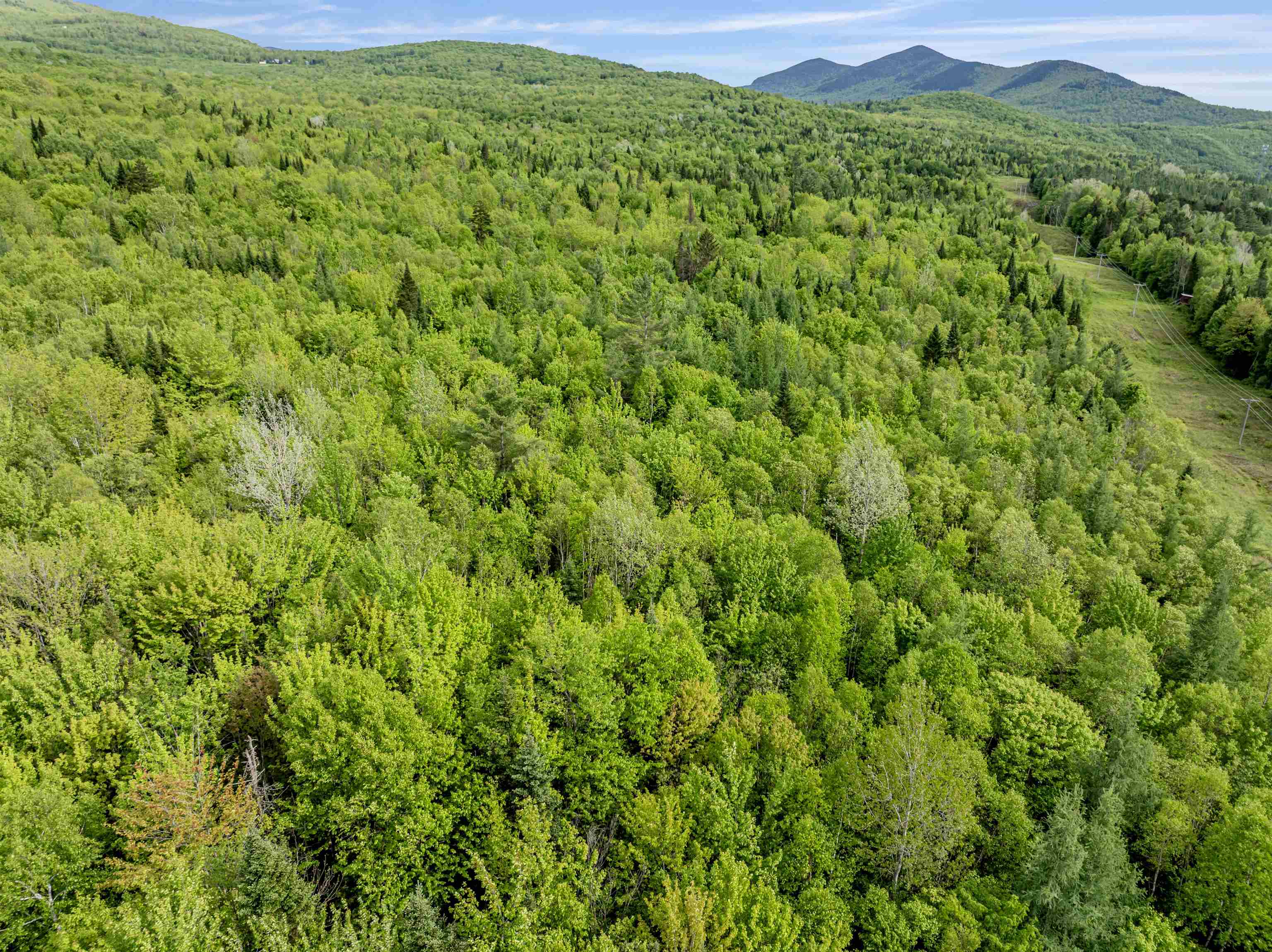 Lot 8 Off US Route 3