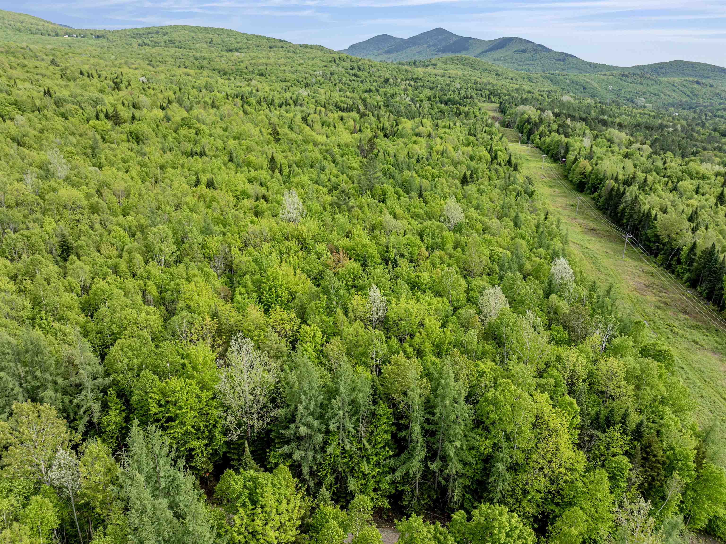Lot 8 Off US Route 3