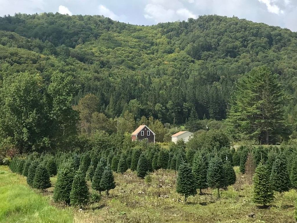 Photo of 92 Bishop Brook Road, Stewartstown, NH 03576 (MLS # 5069824)