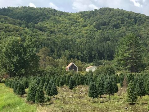 92 Bishop Brook Road Stewartstown NH 03576