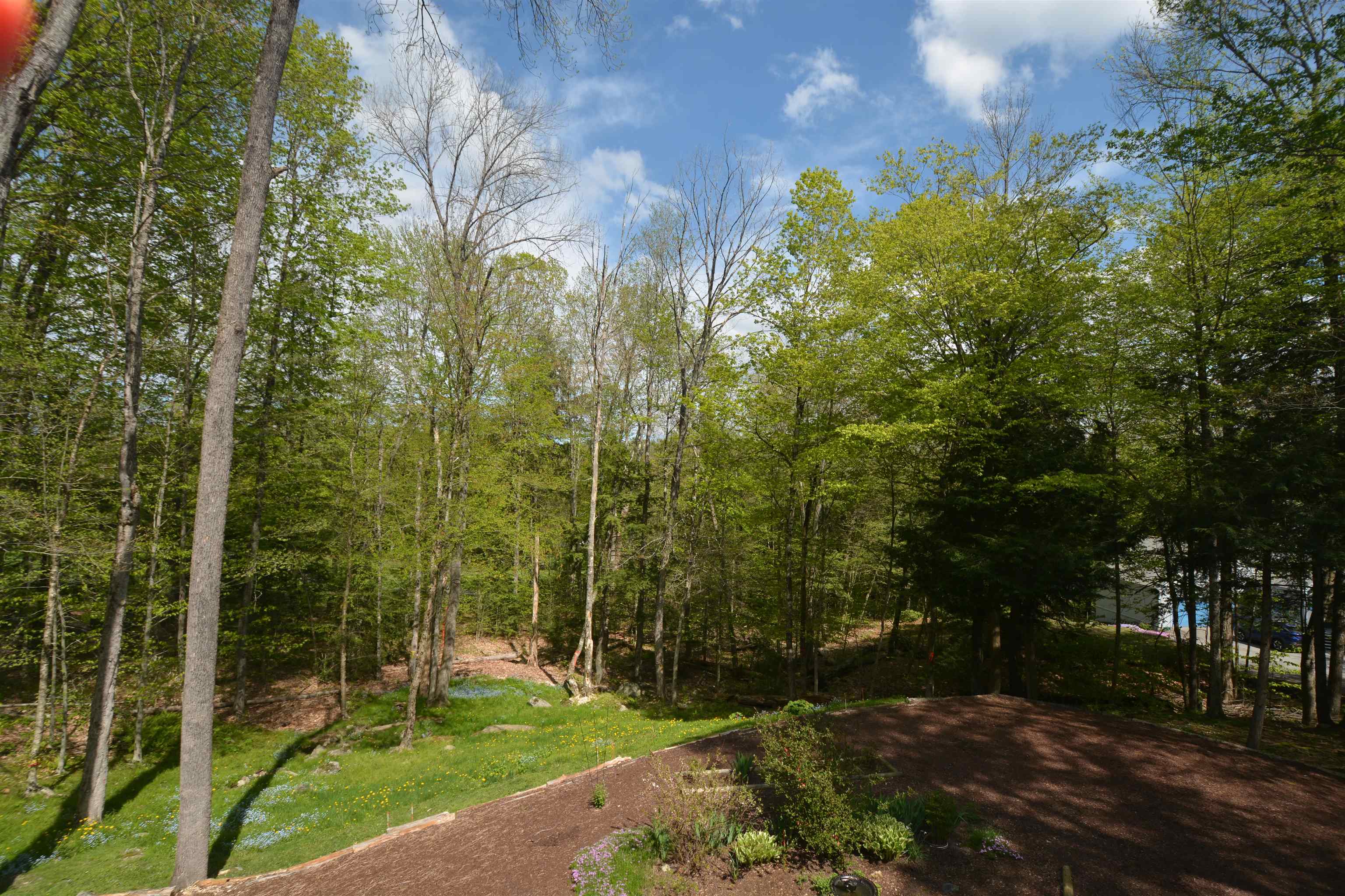 96 Greensward Drive
