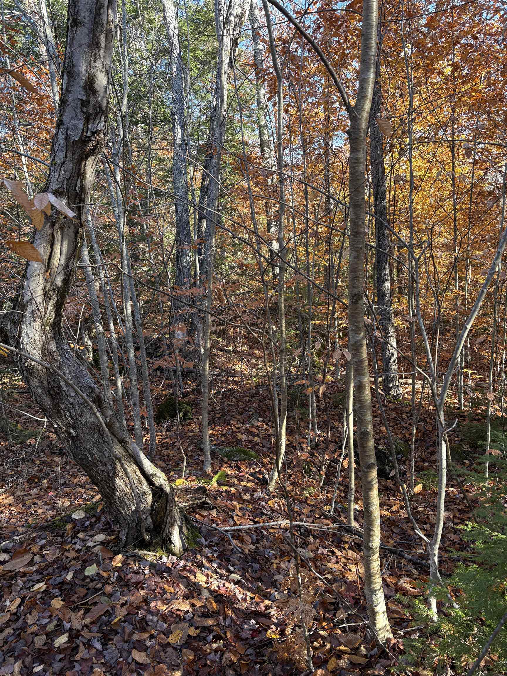 Lot 77-7 East Washington Road