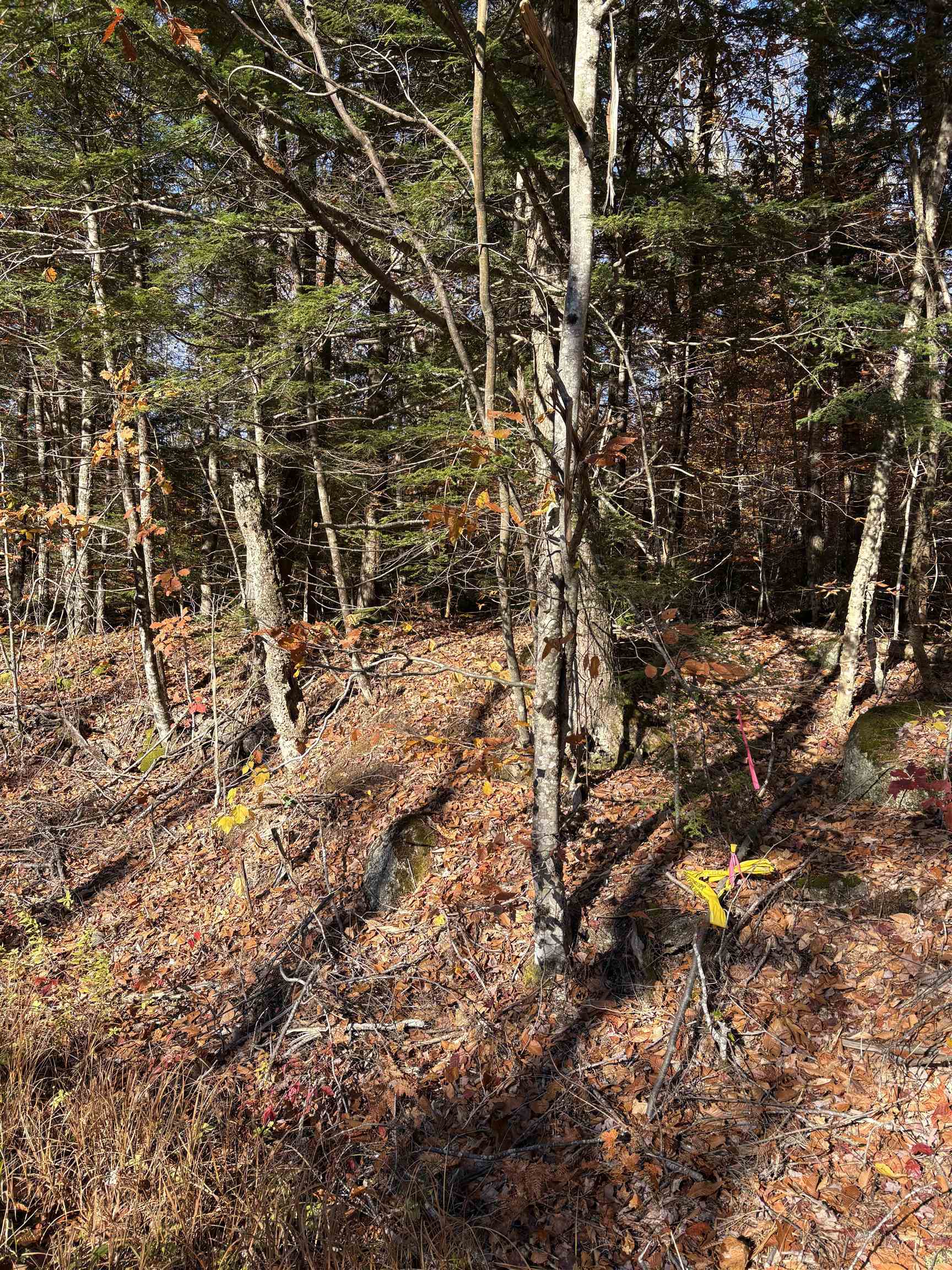 Lot 77-7 East Washington Road