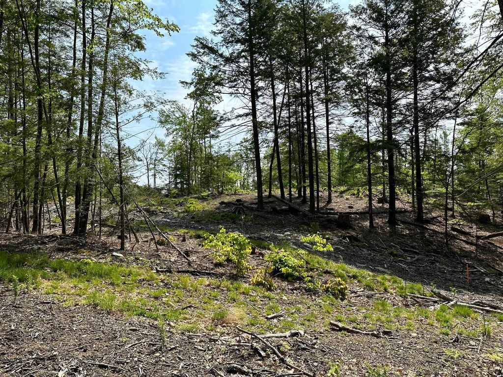 Photo of 0A Old Turnpike Road, Northwood, NH 03261 (MLS # 5079184)