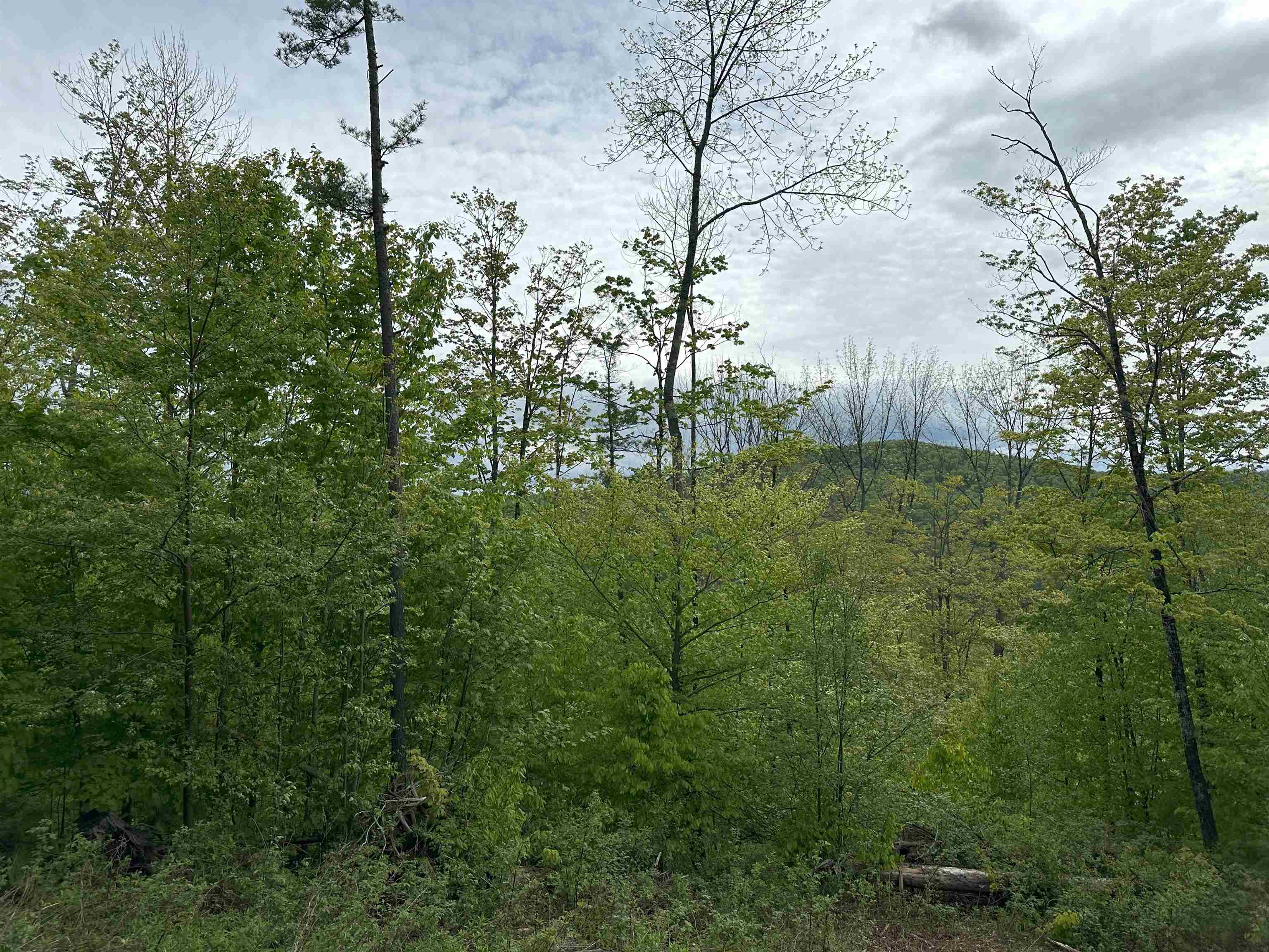 00 Hall Road