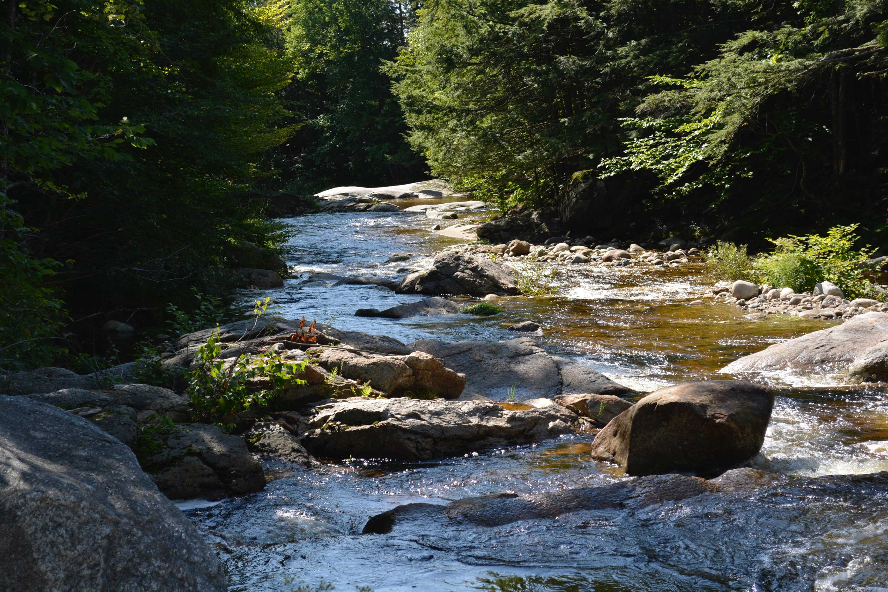 1678 Fowler River Road