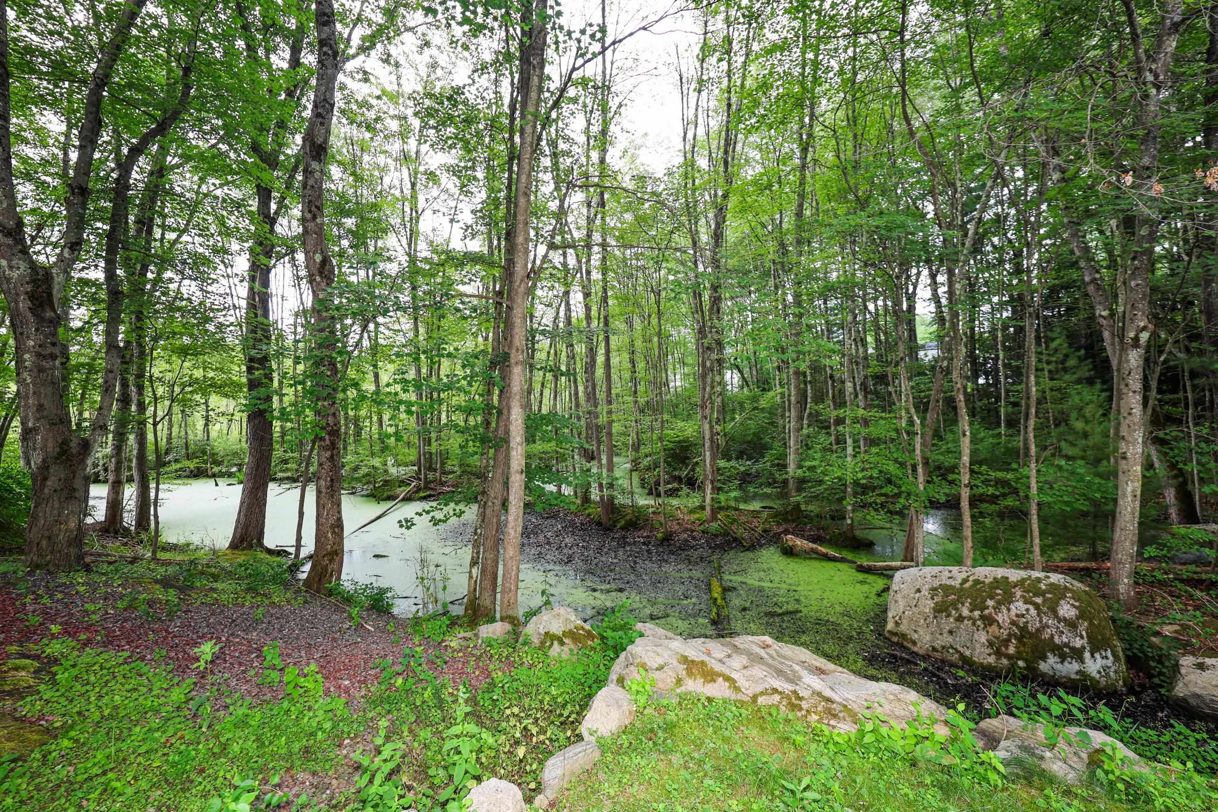 10 Waterville Drive