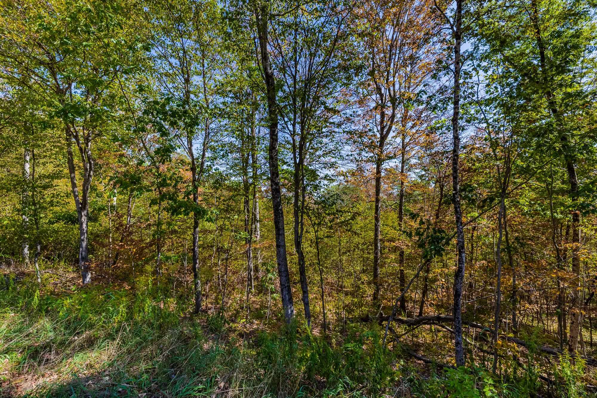 5268 Willard Road 5268