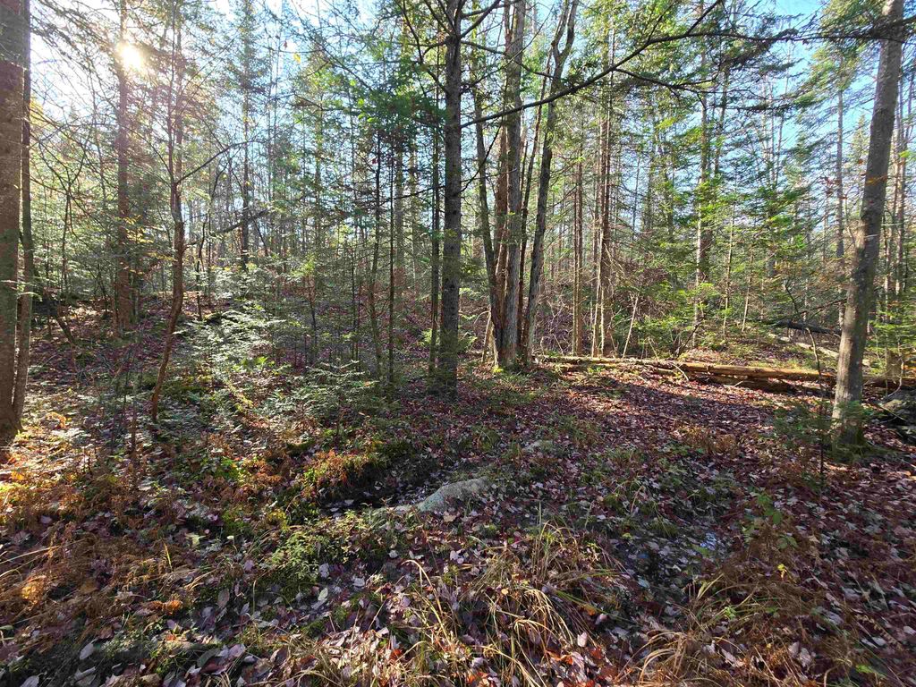 Photo of 3 Chipper Lane, Milan, NH 03588 (MLS # 5019264)