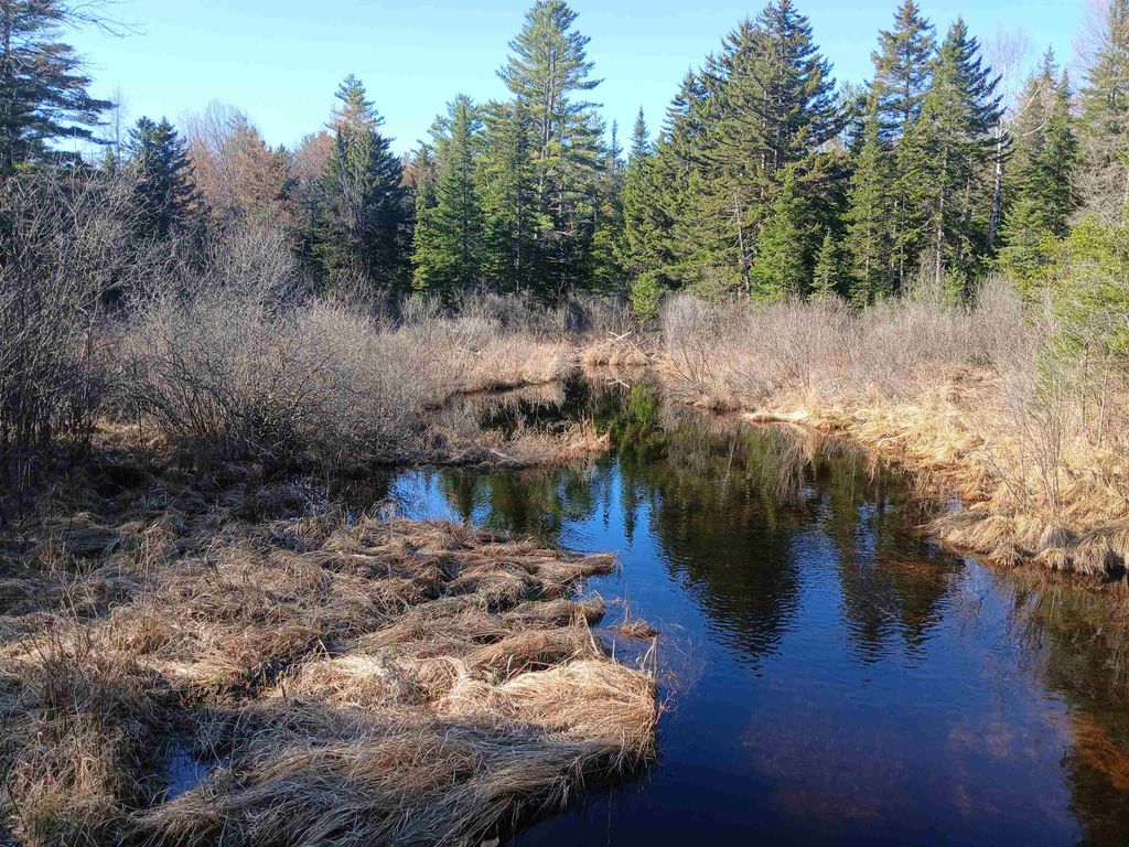 Photo of 473 Grafton Pond Road, Enfield, NH 03748 (MLS # 5072126)