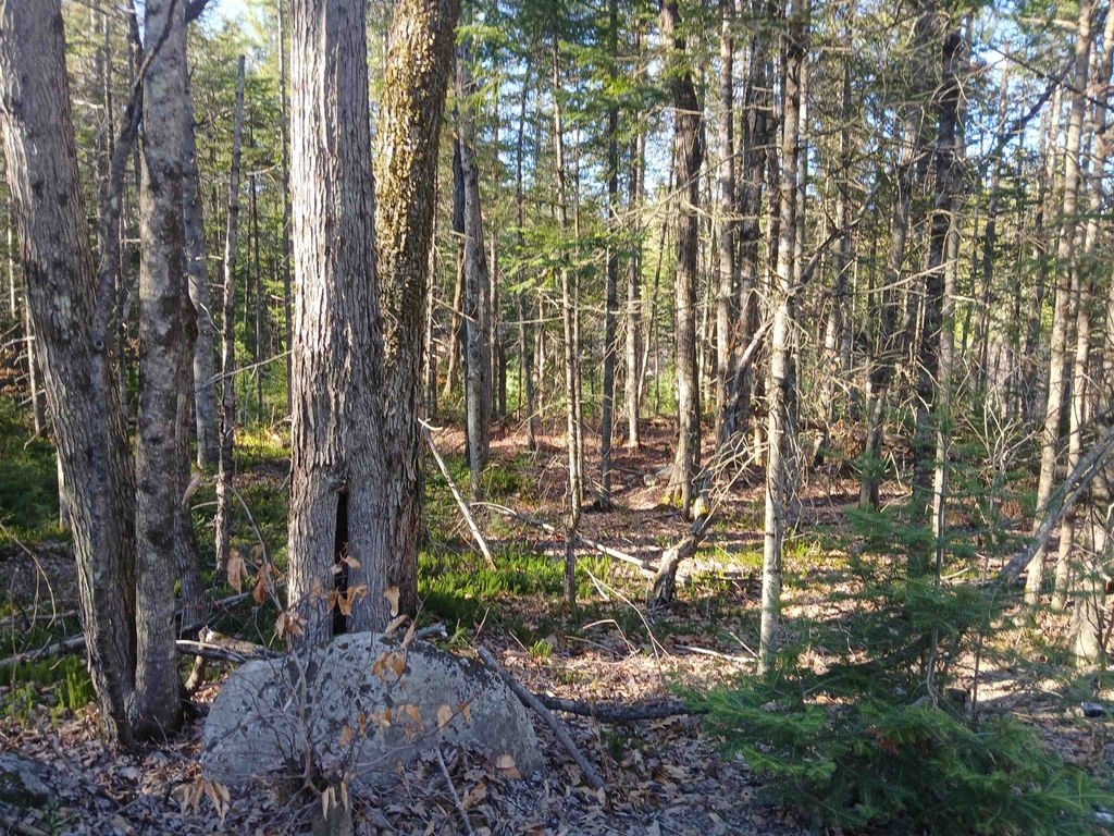 Photo of 473 Grafton Pond Road, Enfield, NH 03748 (MLS # 5072126)
