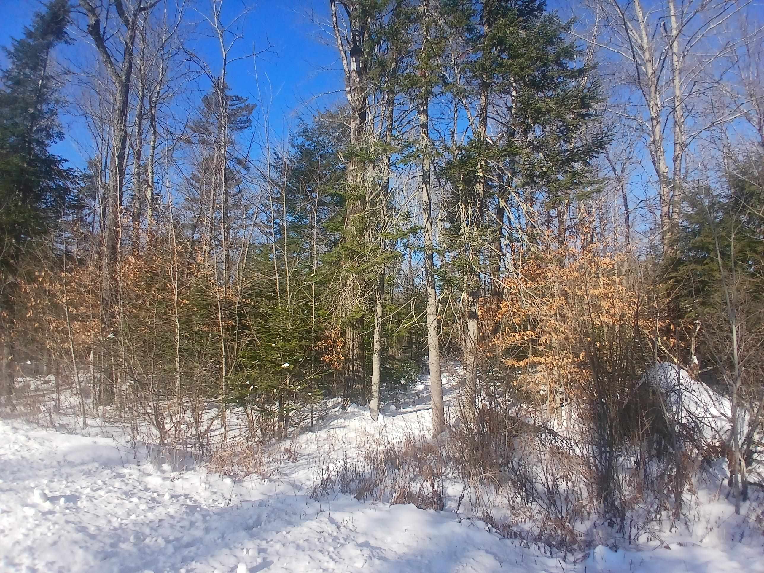 Lot#47-3 Grafton Pond Road