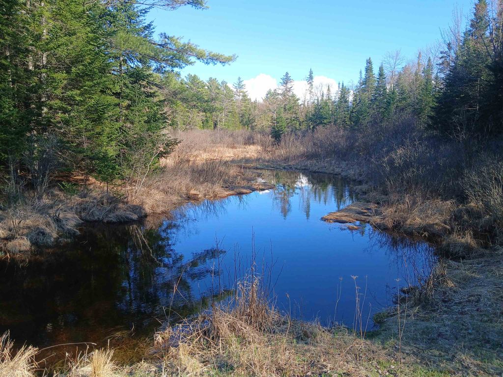 Photo of 473 Grafton Pond Road, Enfield, NH 03748 (MLS # 5072126)