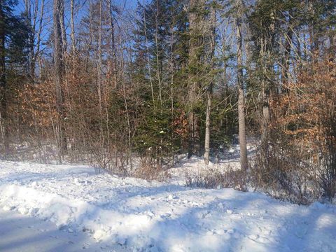 Lot#47-3 Grafton Pond Road Enfield NH 03748