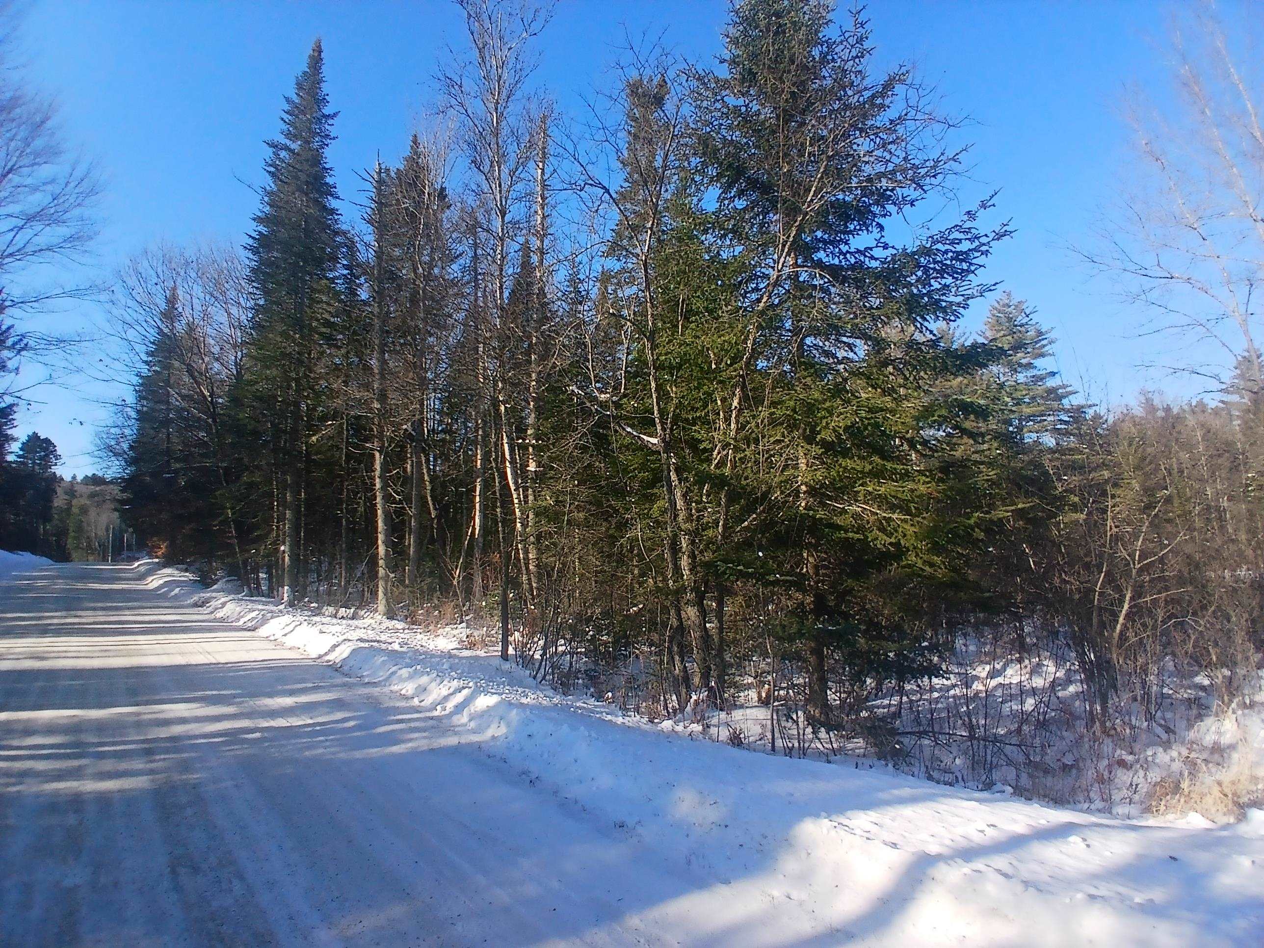 Lot#47-3 Grafton Pond Road