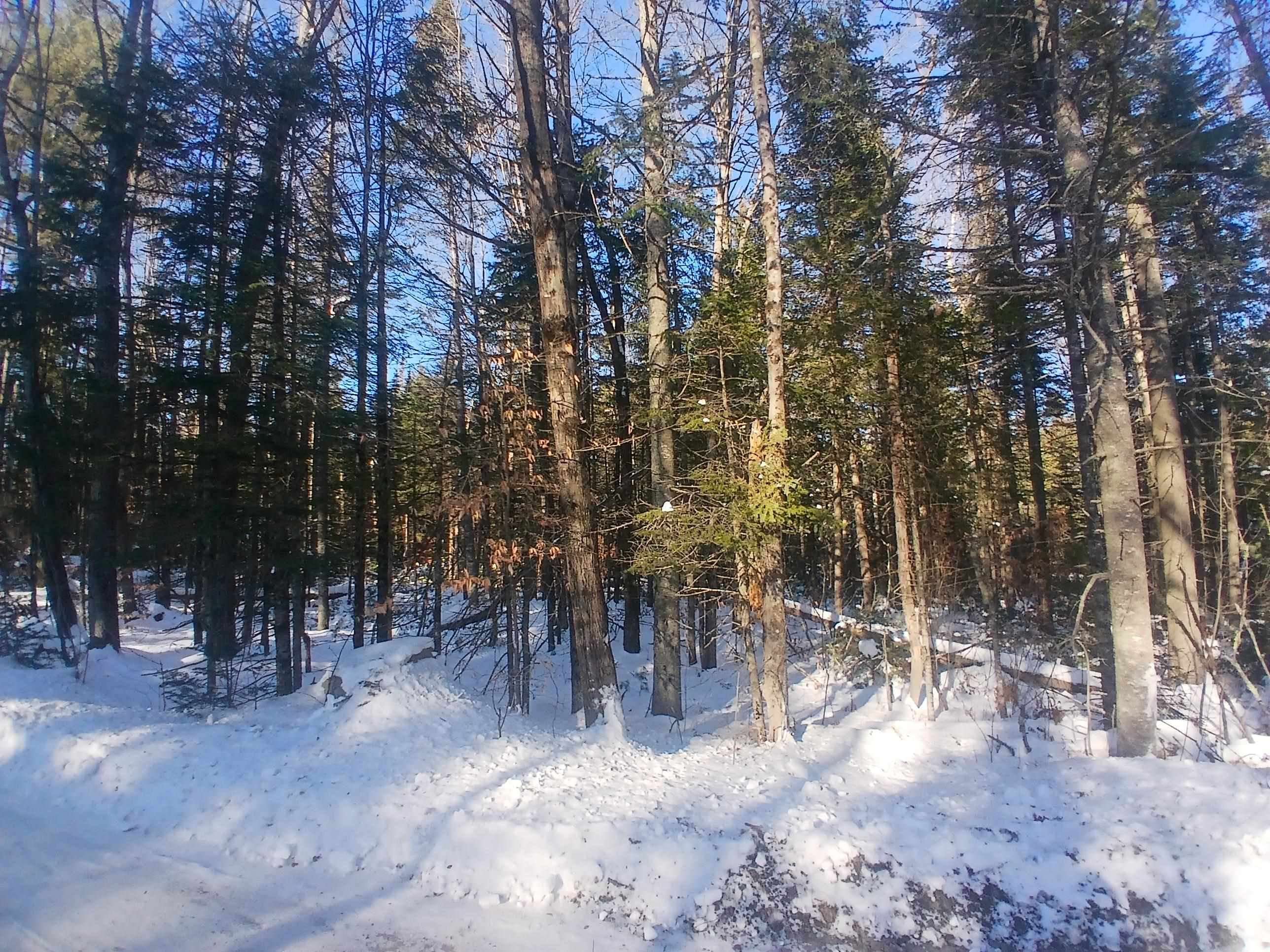 Lot#47-3 Grafton Pond Road