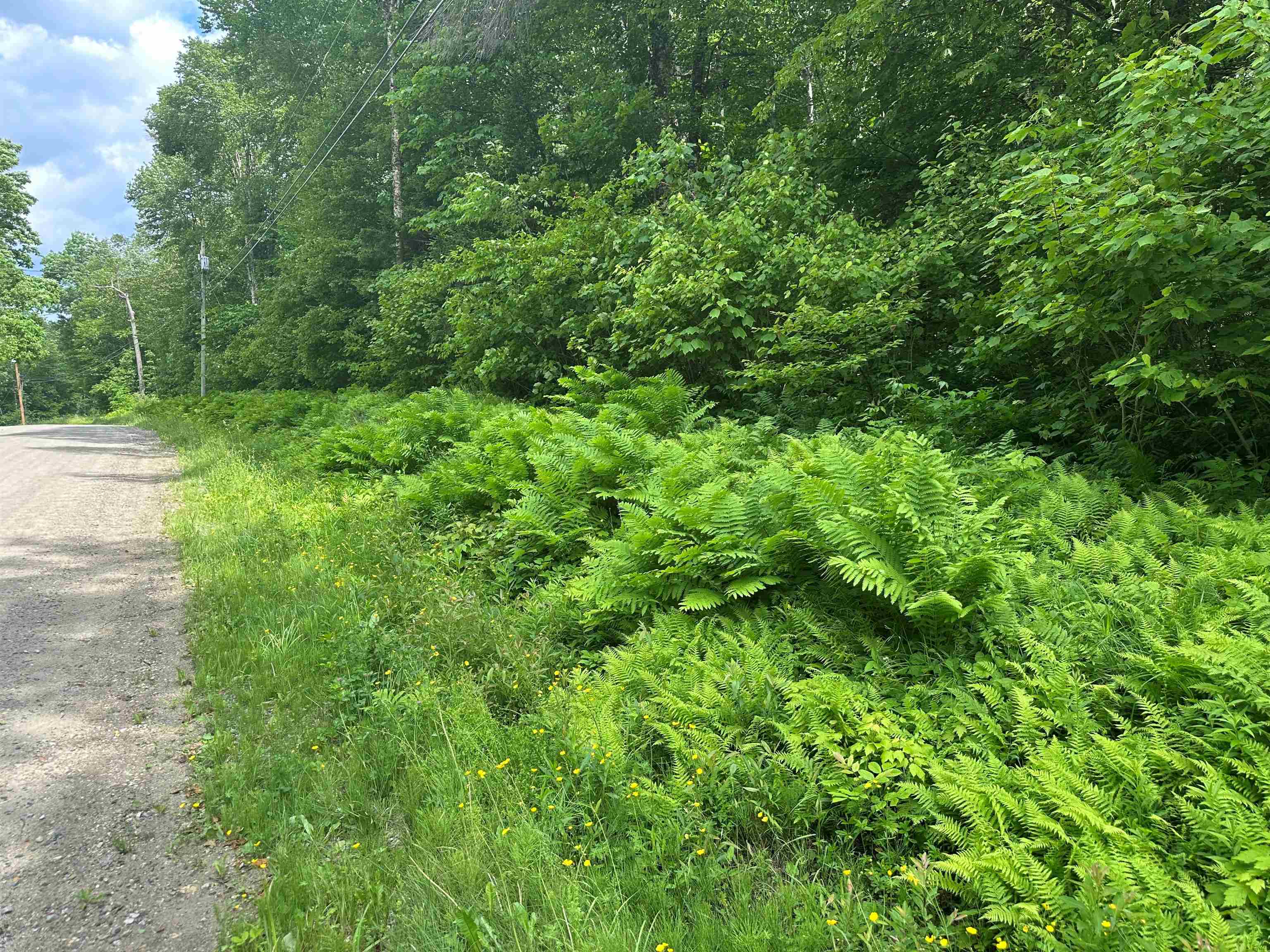 88A Sylvan Ridge Road