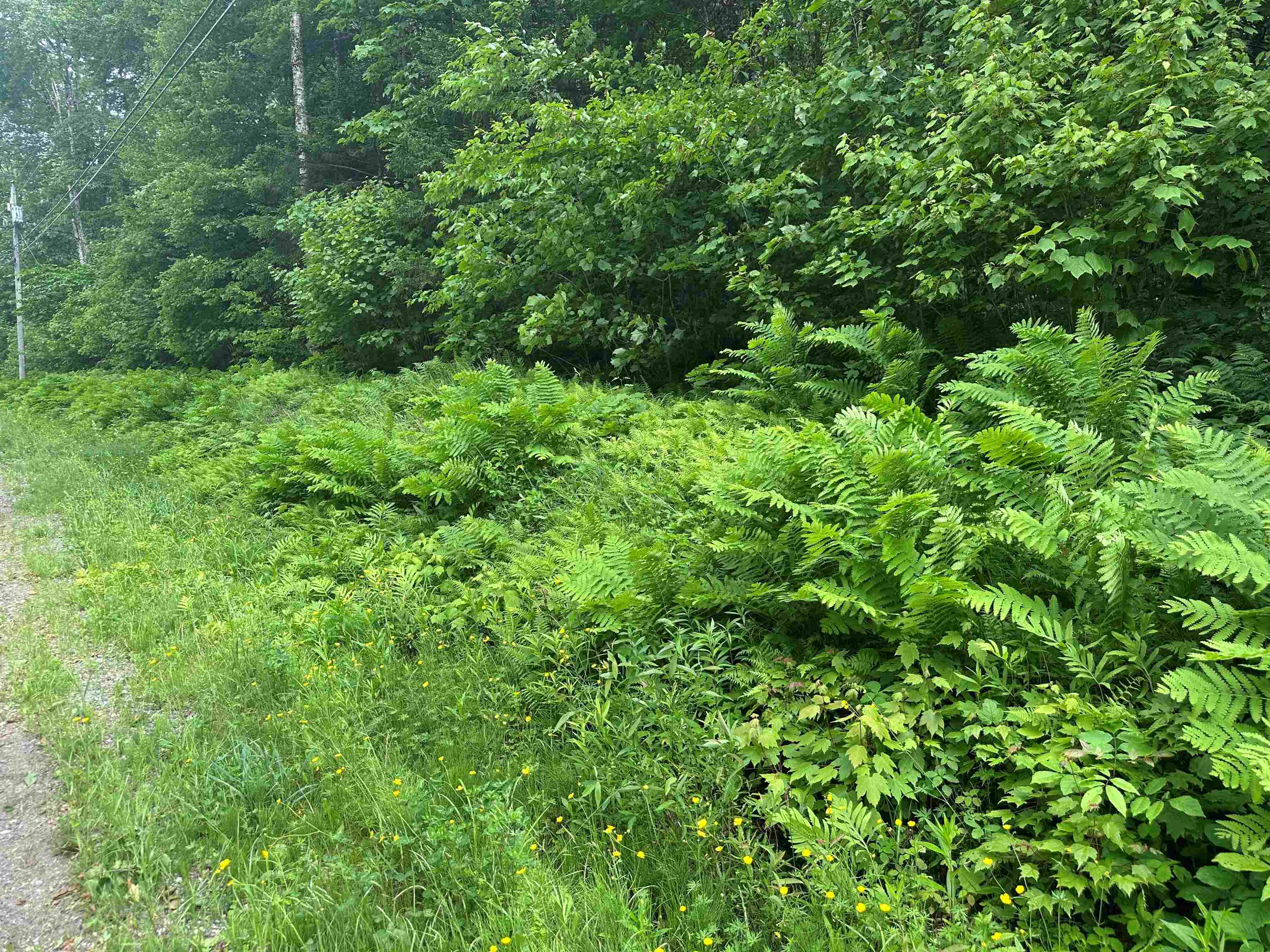 88A Sylvan Ridge Road