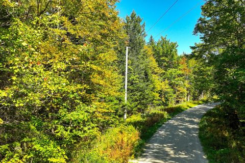 00 Old Weston Mountain Road Lot 7 Ludlow VT 05149