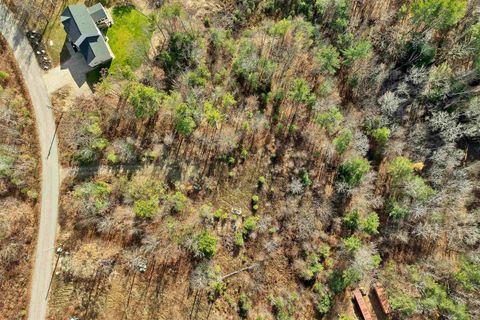 7 Lady Slipper Lane Moultonborough NH 03254