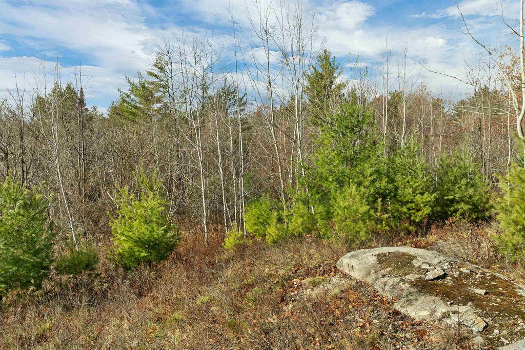 Photo of 7 Lady Slipper Lane, Moultonborough, NH 03254 (MLS # 5069852)