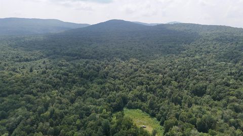 0 Bog Road Belvidere VT 05442