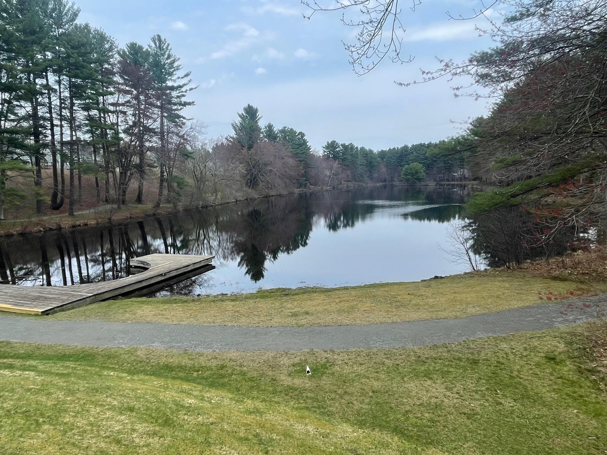 Londonderry, New Hampshire 03053, United States, 2 Bedrooms Bedrooms, ,2 BathroomsBathrooms,Residential,Active,116365