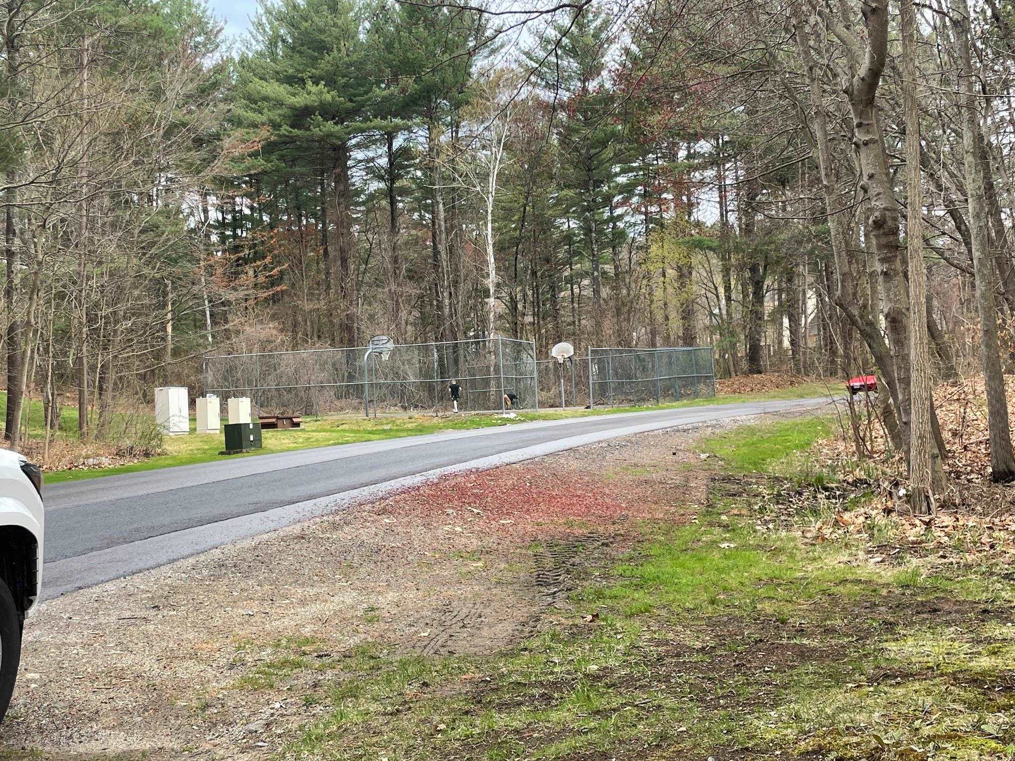 Londonderry, New Hampshire 03053, United States, 2 Bedrooms Bedrooms, ,2 BathroomsBathrooms,Residential,Active,116365