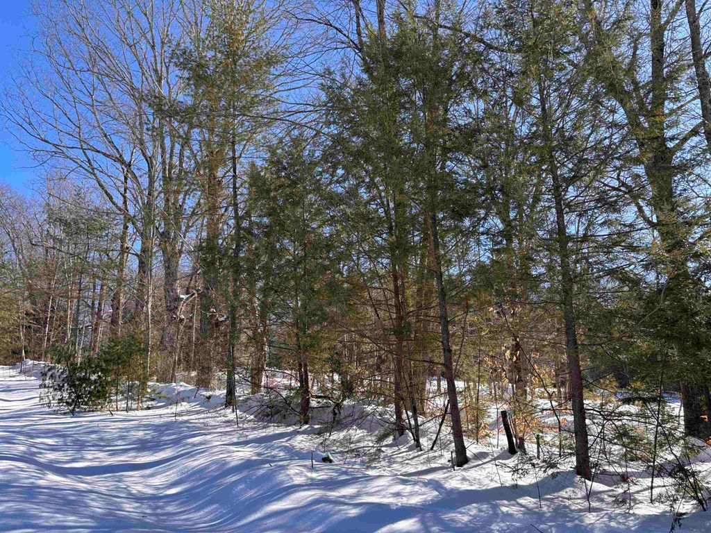 Photo of 40966 Old Turnpike Road, Richmond, NH 03470 (MLS # 5078082)