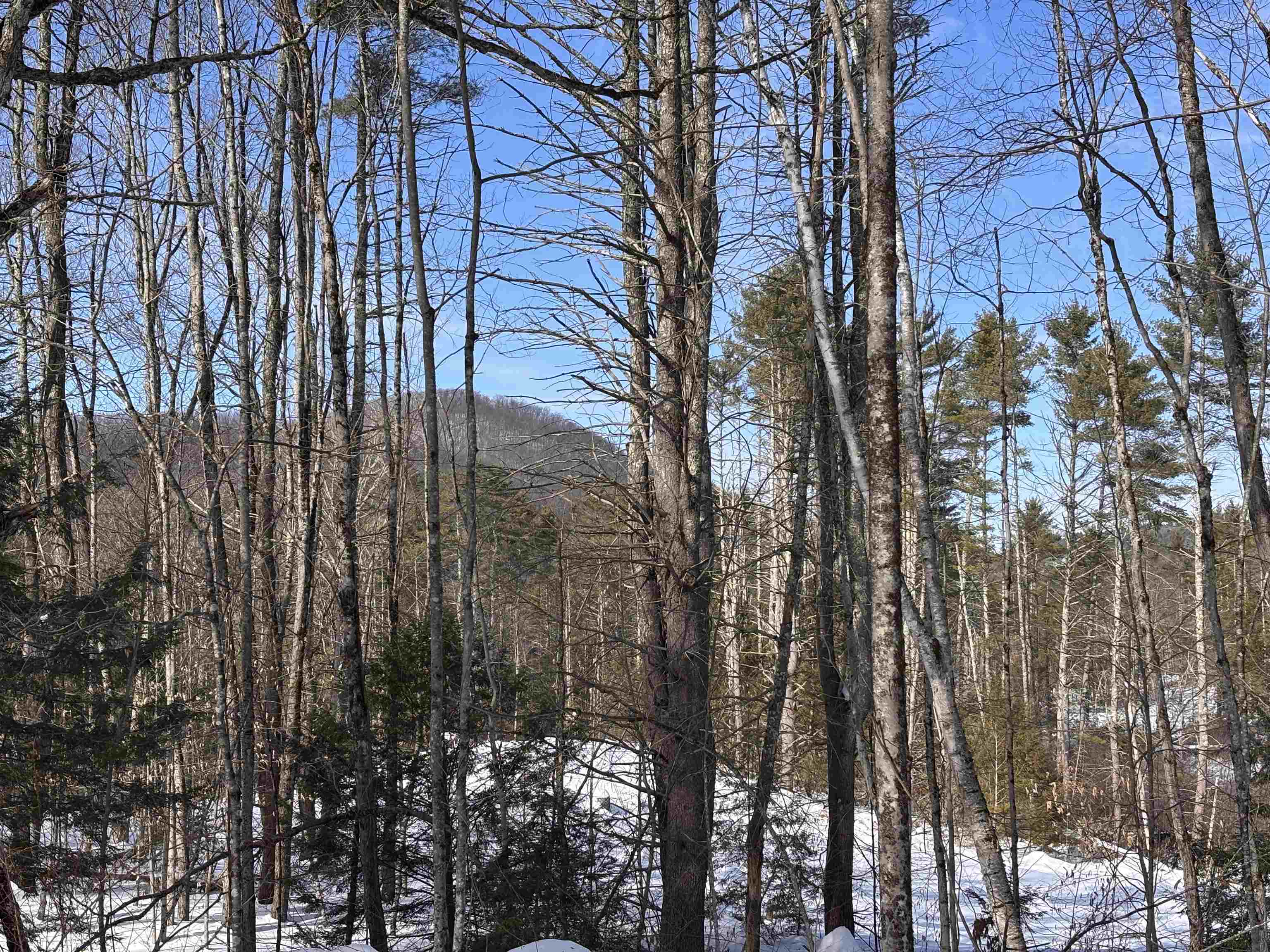 M409 L66 Old Turnpike Road