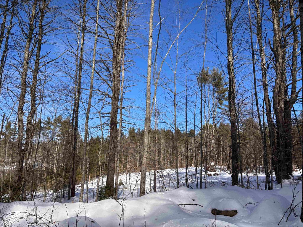 Photo of 40966 Old Turnpike Road, Richmond, NH 03470 (MLS # 5078082)