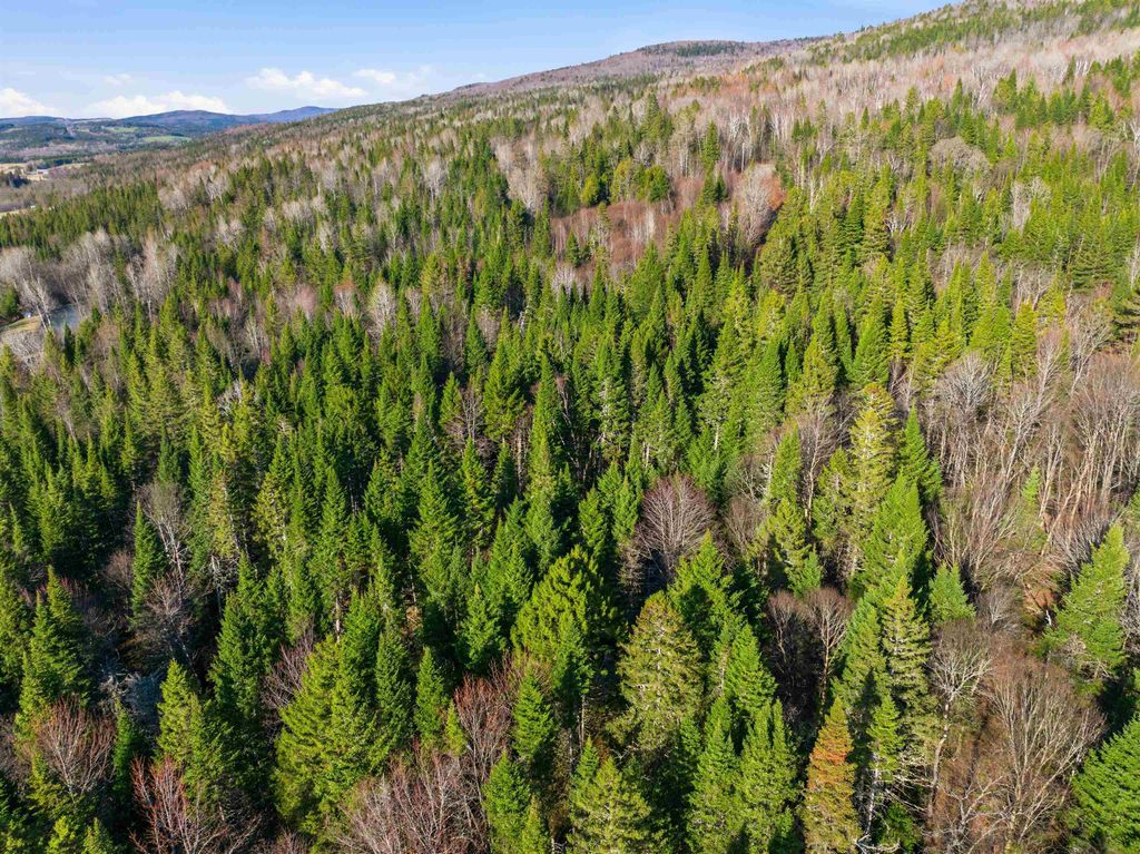 Photo of 1660 Halls Stream Road #1, Pittsburg, NH 03592 (MLS # 5085958)