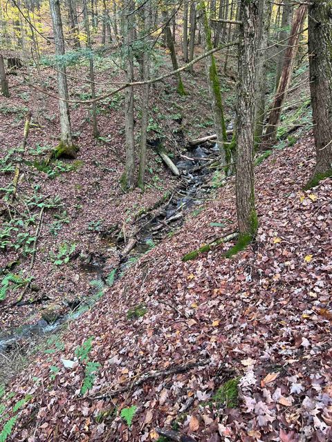 1901 Royalton Hill Road 2 Royalton VT 05068