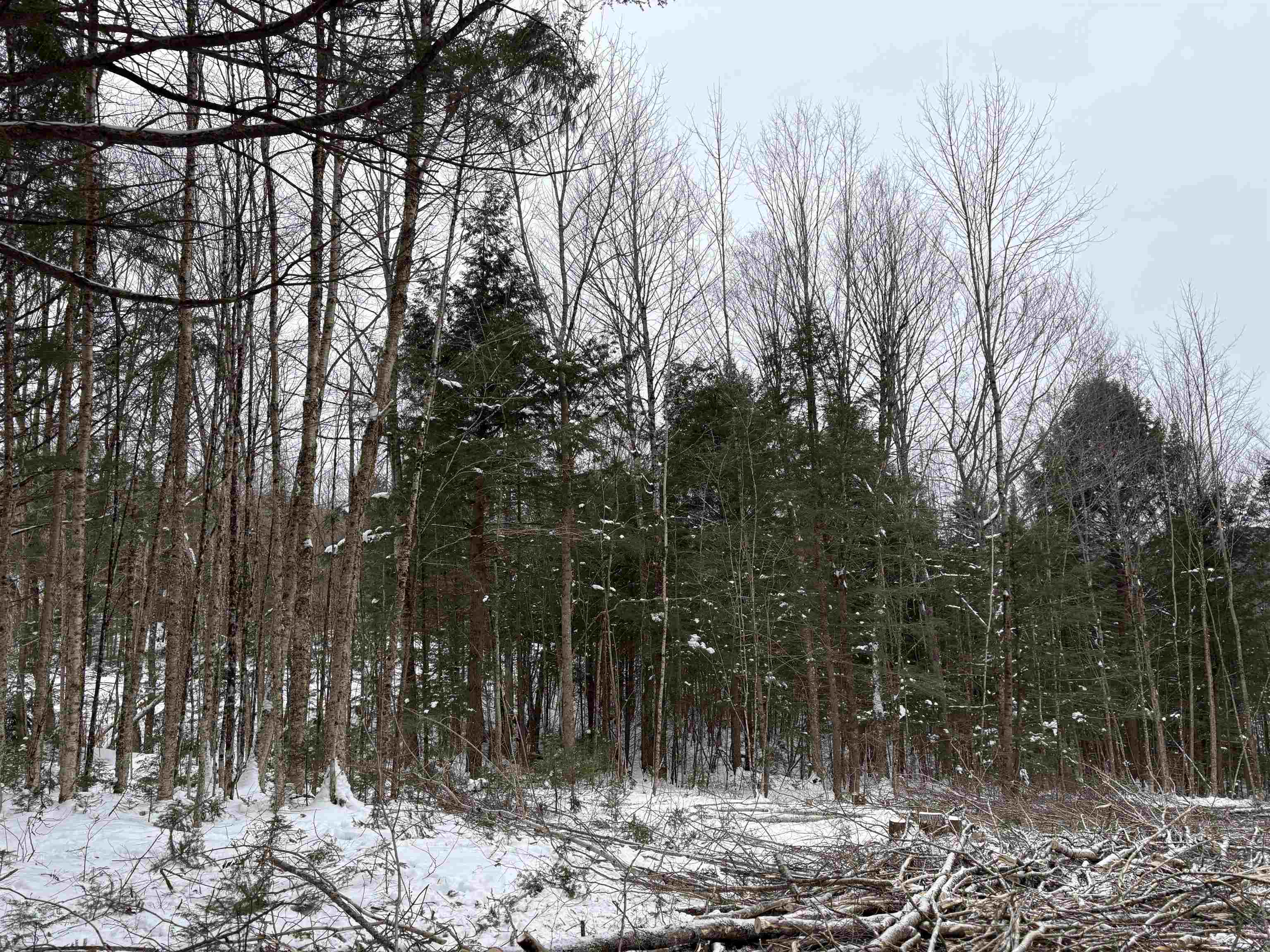 0 Fall Brook Road #4