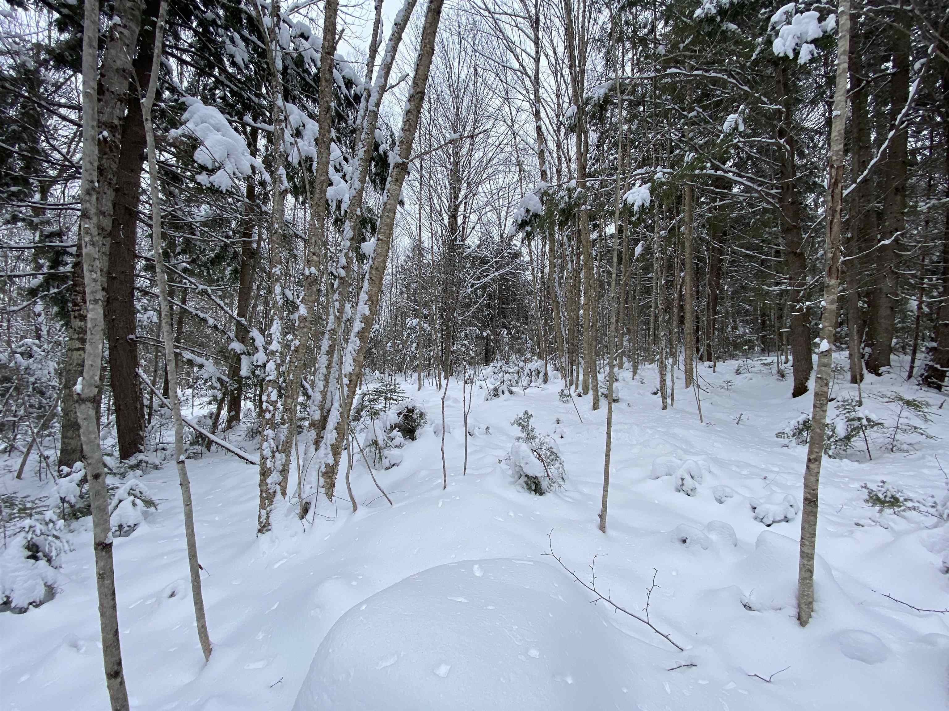 0 Fall Brook Road #4