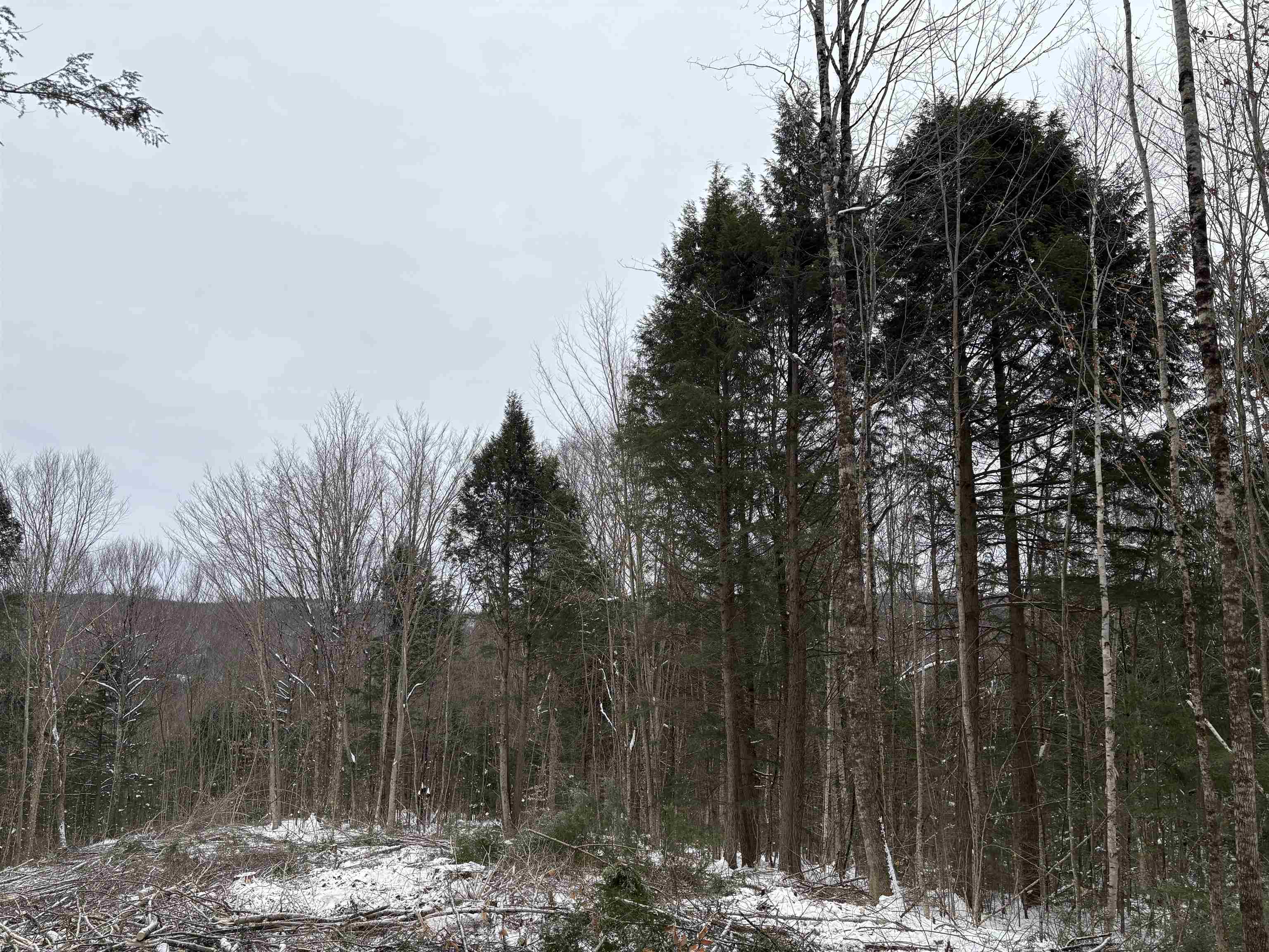 0 Fall Brook Road #4