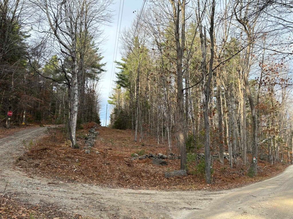 Photo of 000 Sandy Pond Road, Lempster, NH 03605 (MLS # 5072218)