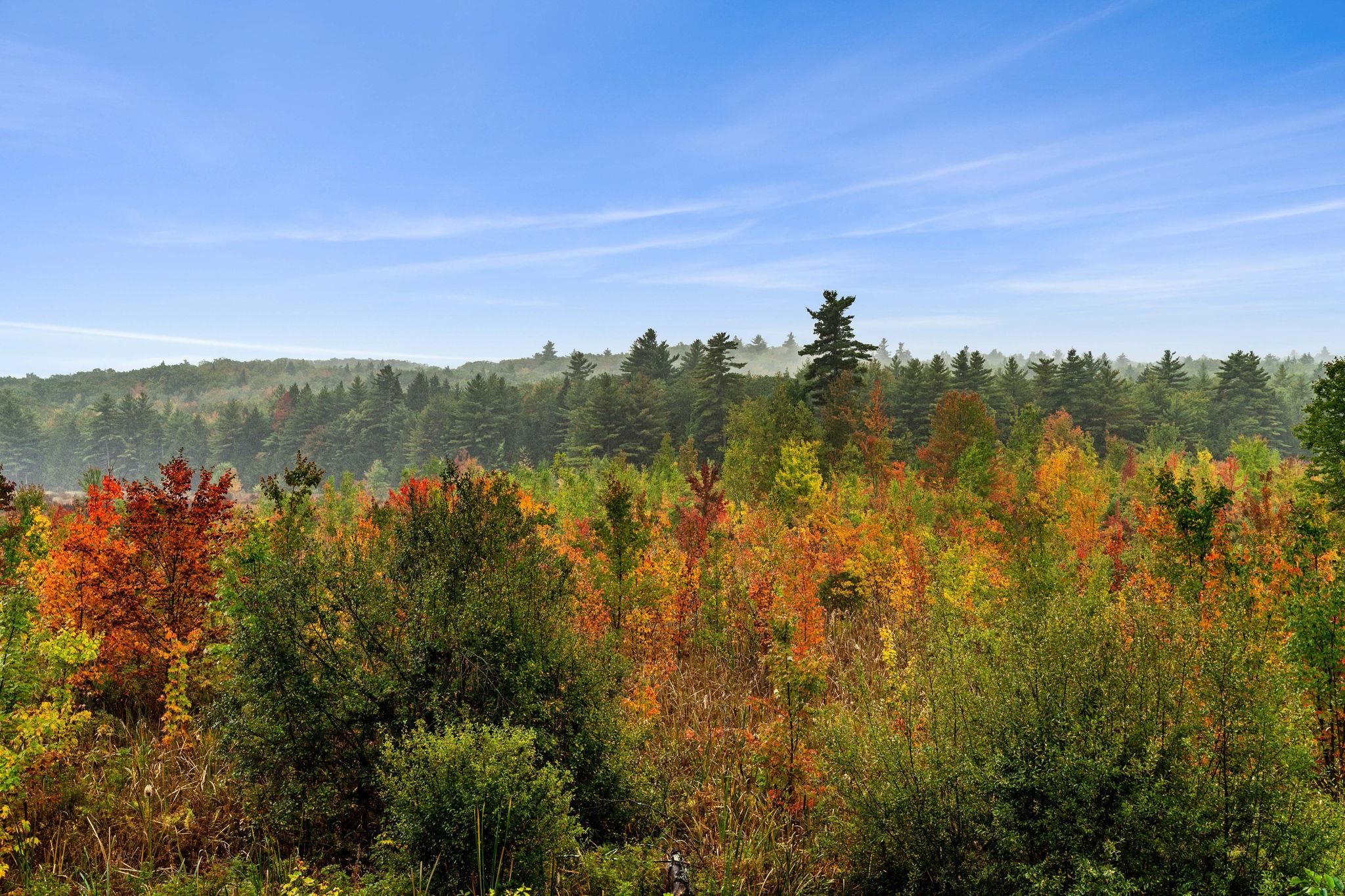 146 Woodhill Hooksett Road