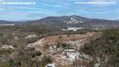 Lot 11 Greenwood Lane Sunapee NH 03782