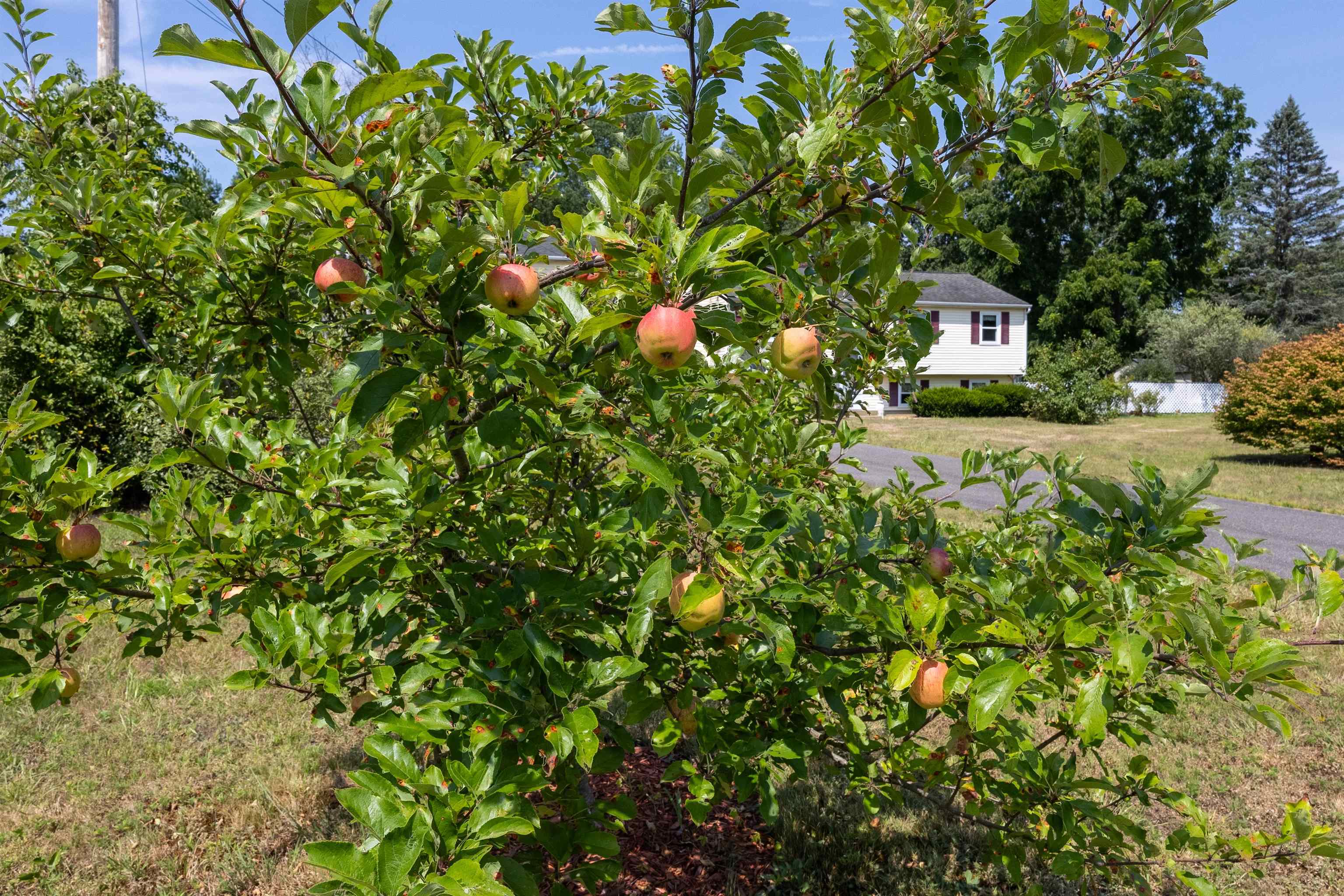 Litchfield, New Hampshire 03052, United States, 3 Bedrooms Bedrooms, ,2 BathroomsBathrooms,Residential,Active,188052