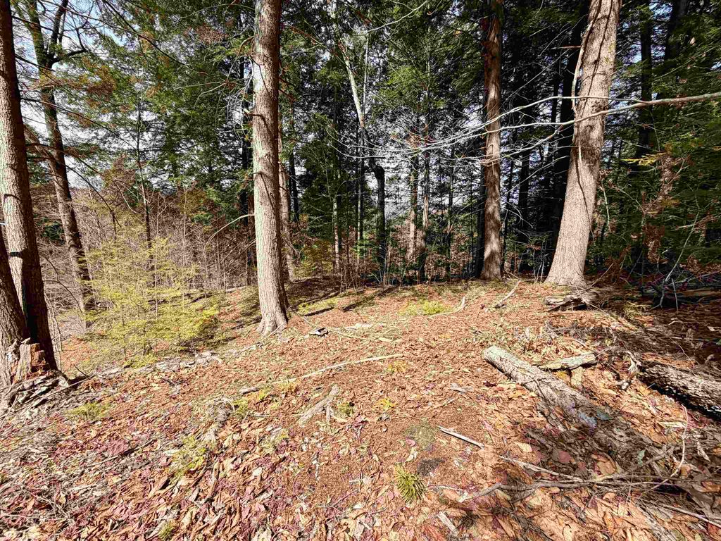 Photo of Champions Way #12, Thornton, NH 03223 (MLS # 5083277)