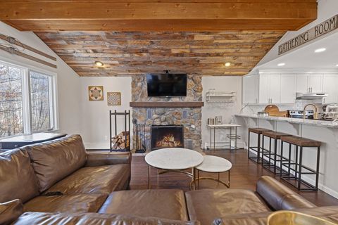 24 North Branch Road Winhall VT 05340