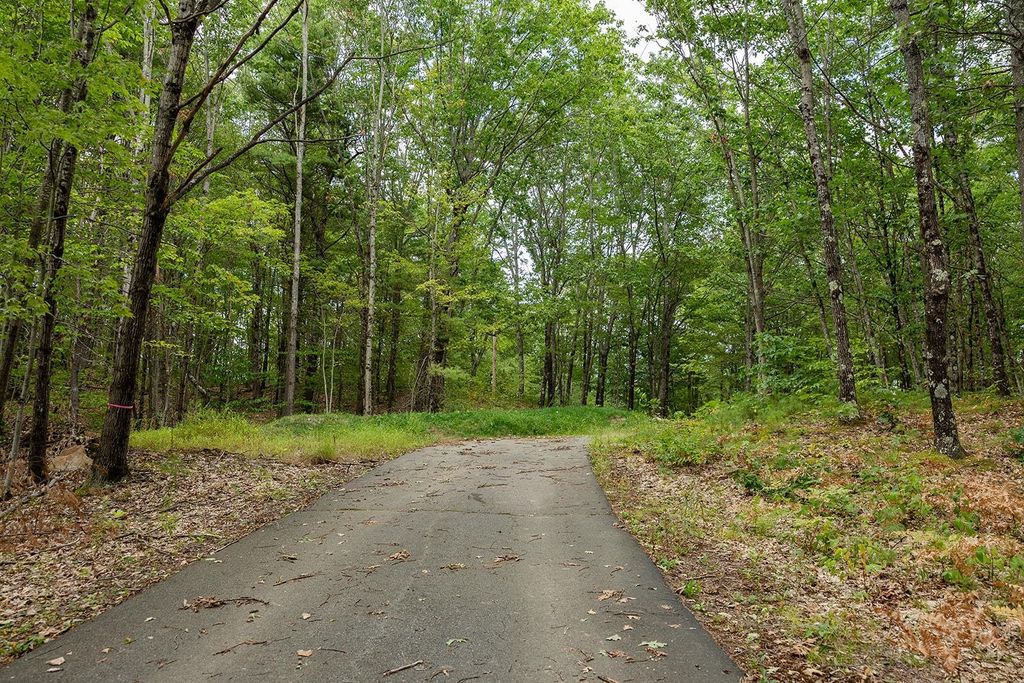Photo of 309 Southwest Road, Canterbury, NH 03224 (MLS # 5059081)