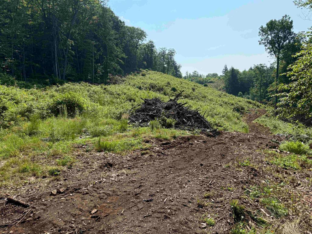 Photo of 230022 Thurlow Street, Plymouth, NH 03264 (MLS # 5086729)