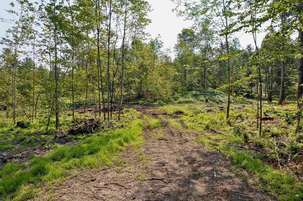 Photo of 00 Court Street #4, Haverhill, NH 03765 (MLS # 5007491)