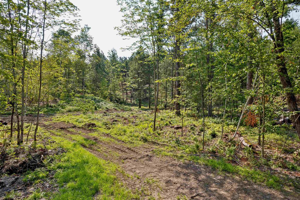 Photo of 00 Court Street #4, Haverhill, NH 03765 (MLS # 5007491)