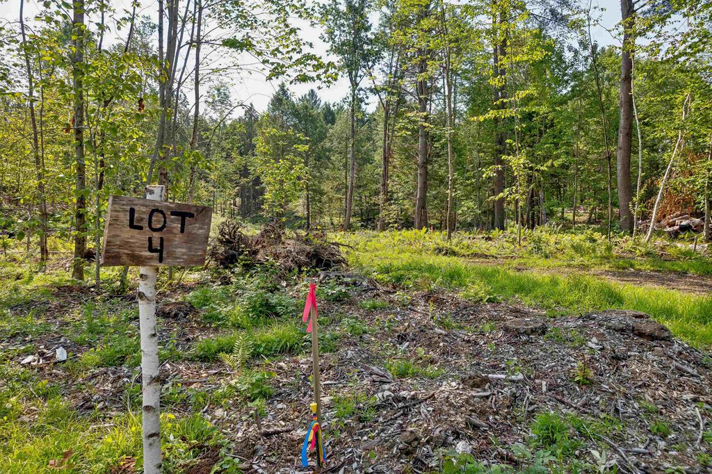 Photo of 00 Court Street #4, Haverhill, NH 03765 (MLS # 5007491)