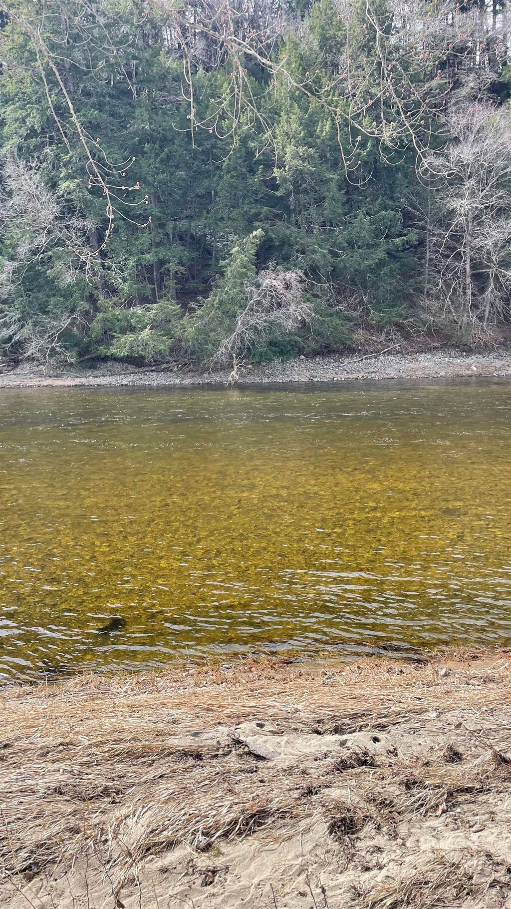 Photo of 0 Lisbon Road #8, Bath, NH 03740 (MLS # 5083282)