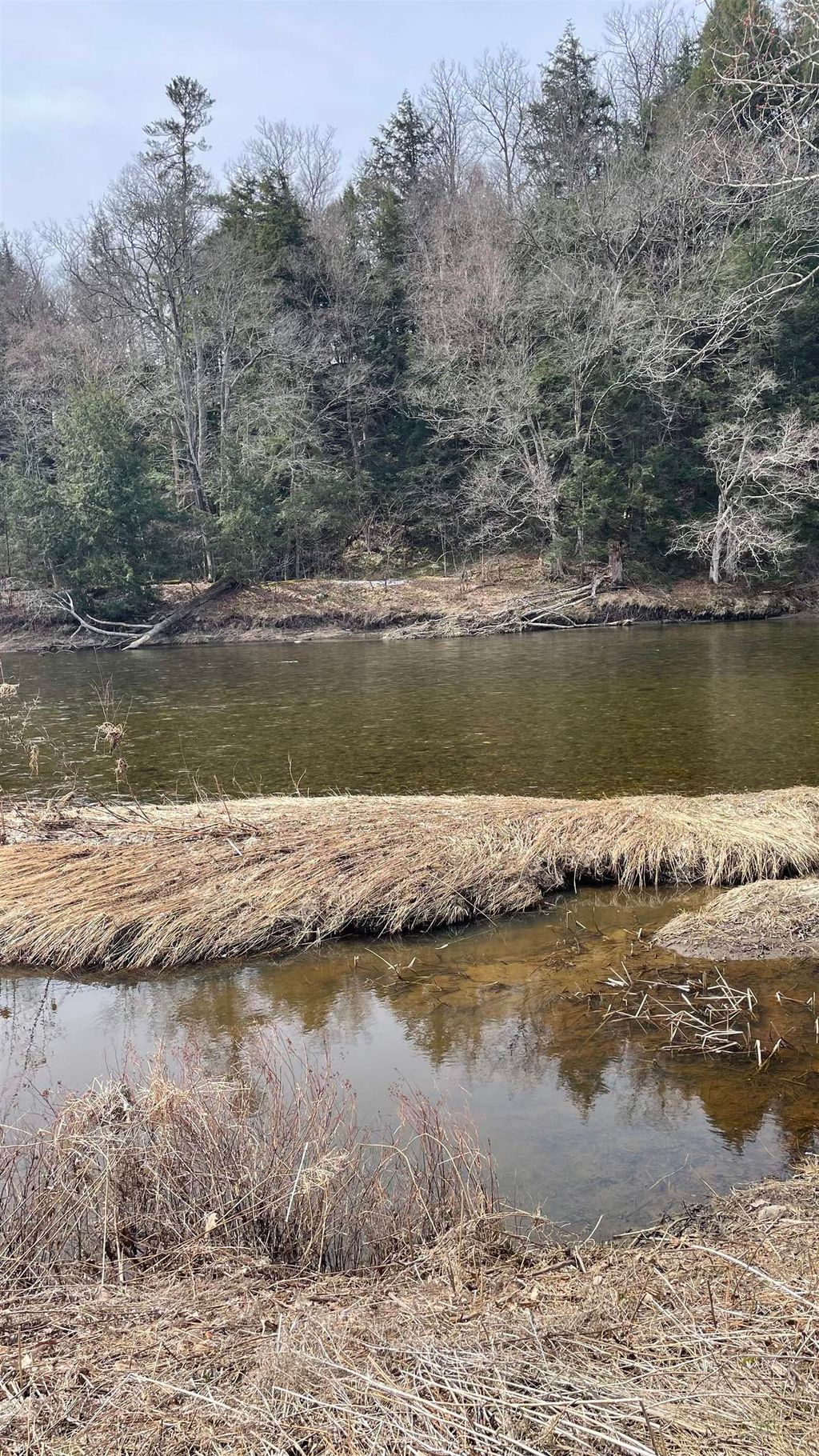 Photo of 0 Lisbon Road #8, Bath, NH 03740 (MLS # 5083282)