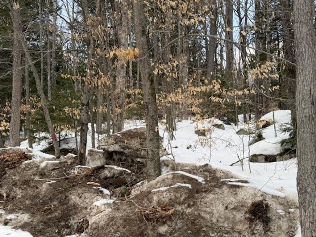 Photo of 6103 Route 16, Albany, NH 03818 (MLS # 5077819)